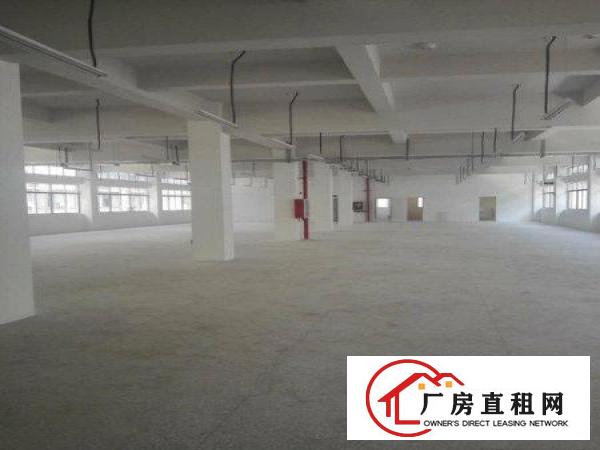 
平湖华南城电商仓库800平方出租