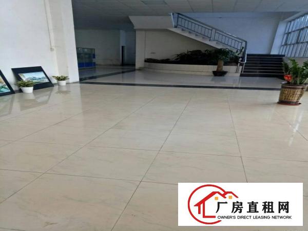 
深圳龙岗区平湖华南城独院厂房招租面积5000平方分