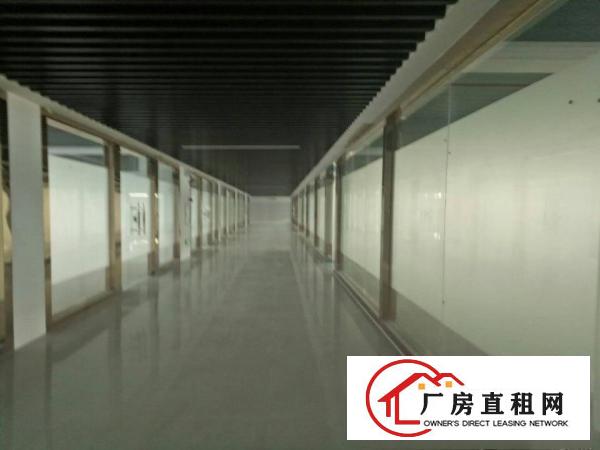 
深圳龙岗区平湖华南城独院厂房招租面积5000平方分