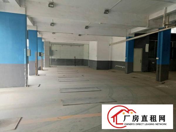 
深圳龙岗区平湖鹅公岭厂房一楼招租面积3500平方