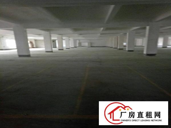 
深圳龙岗区平湖新木厂房招租面积1300一楼可分租