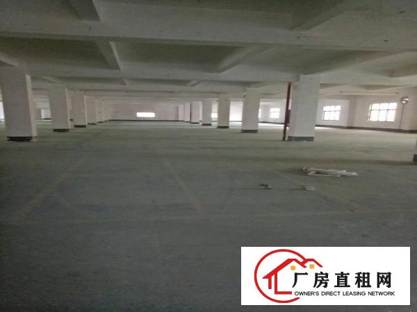 
深圳龙岗区平湖新木厂房招租面积1300一楼可分租