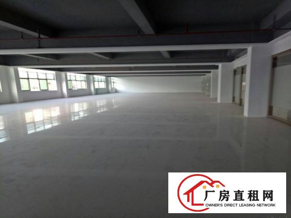 
深圳龙岗区平湖新木厂房招租面积1300一楼可分租