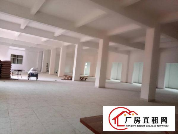 
深圳龙岗区平湖新木厂房招租面积1300一楼可分租