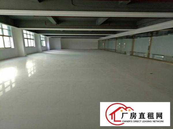 
深圳龙岗区平湖新木厂房招租面积1300一楼可分租