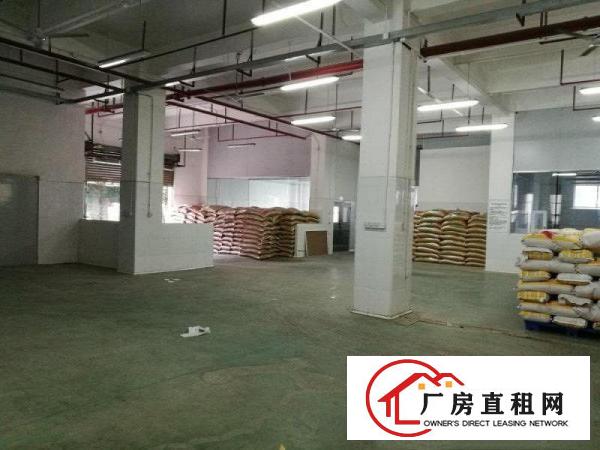 
华南城新出独院厂房12000平米，500平米起租