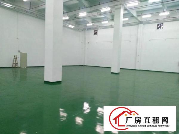 
急租平湖大望工业区1400平厂房出租