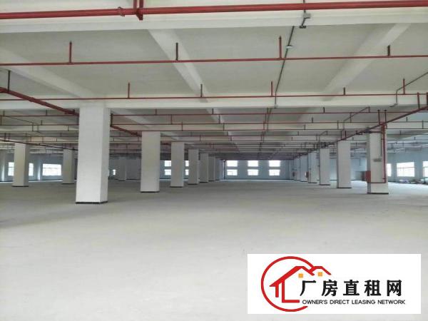 
急租平湖大望工业区1400平厂房出租