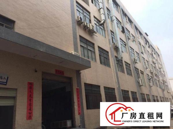 
急租平湖大望工业区1400平厂房出租