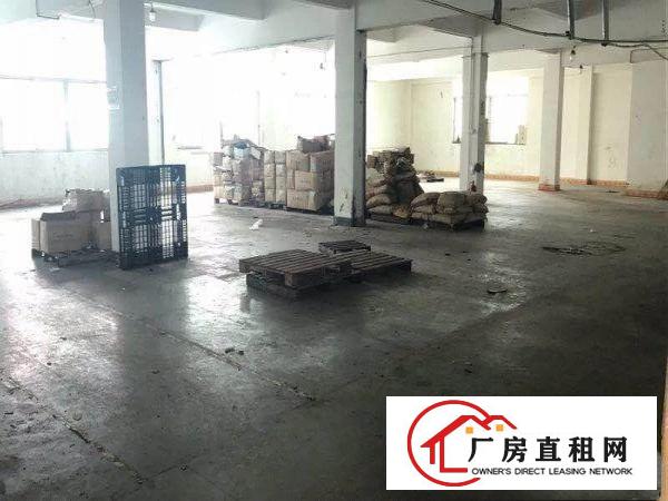 
急租鹅公岭1100平厂房出租，原房东独院独栋