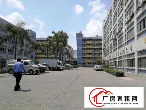 
急租鹅公岭1100平厂房出租，原房东独院独栋