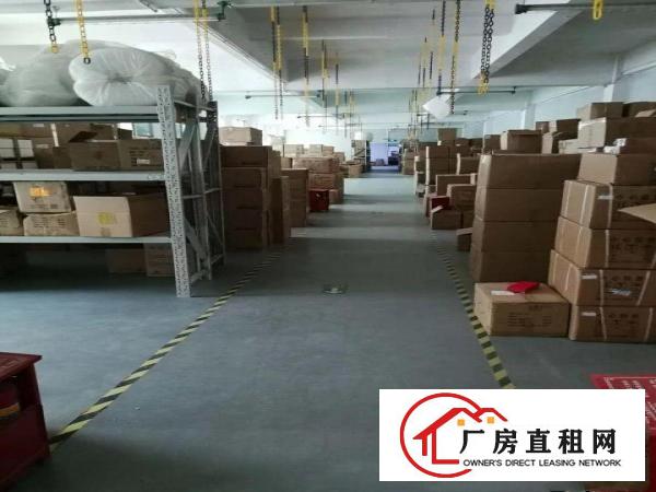 
急租鹅公岭1100平厂房出租，原房东独院独栋