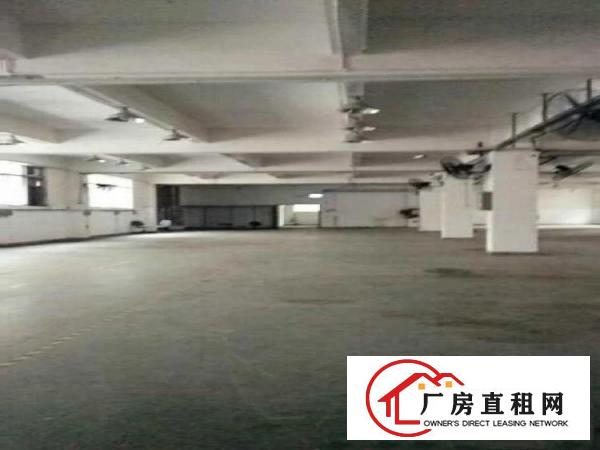 
平湖辅城坳4楼980平方带豪华办公室厂房急租