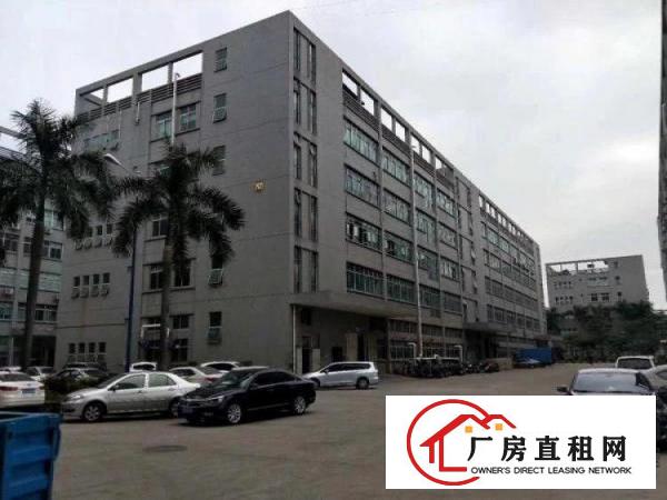 
平湖新木1楼800平方厂房急租