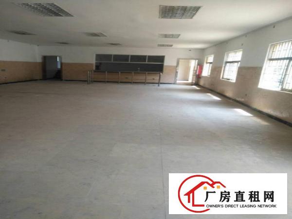 
平湖全新小独院2500平米出租可分租急急急