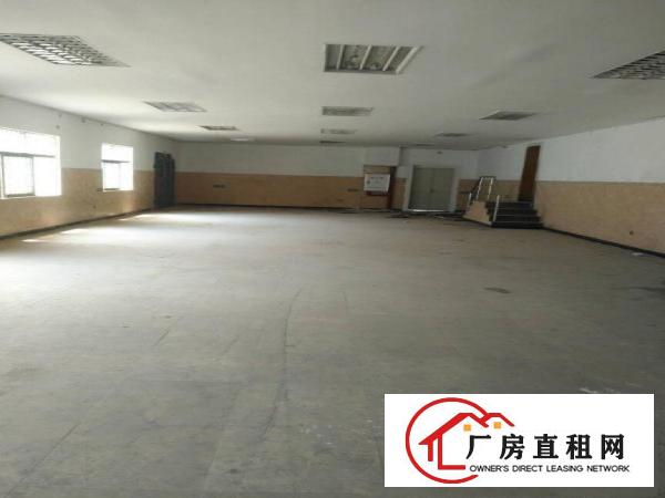 
平湖全新小独院2500平米出租可分租急急急