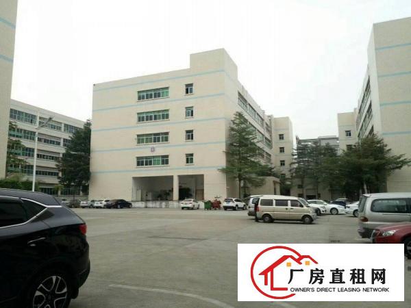 
平湖华南城西门带装修2楼500平方厂房出租