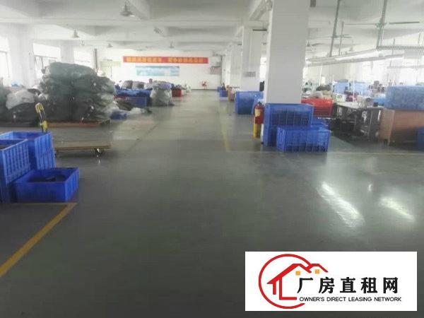
平湖华南城富民工业区三楼全新装修厂房680平出租