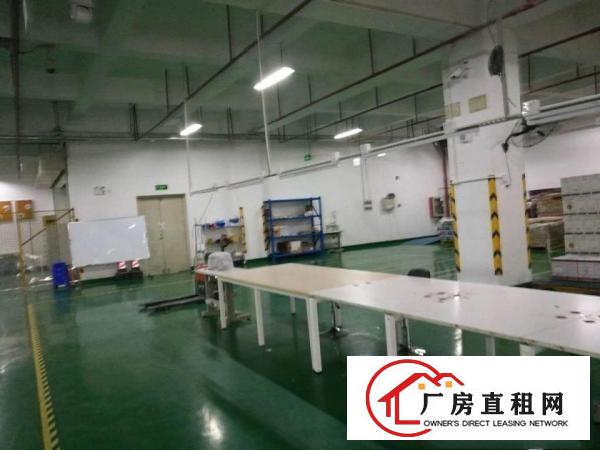 
平湖大望工业区新出2楼1200平方厂房急租