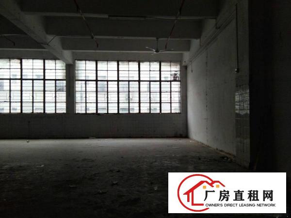 
龙岗区平湖华南城旁一楼6米高标准厂房出租