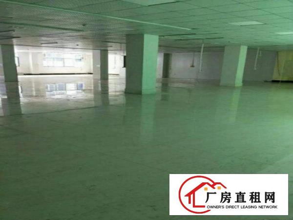 
深圳平湖高速出口6600独院厂房出租可分租