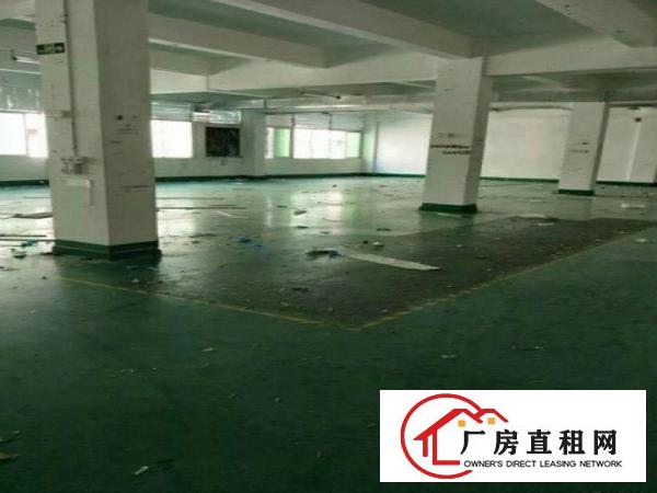 
深圳平湖高速出口6600独院厂房出租可分租