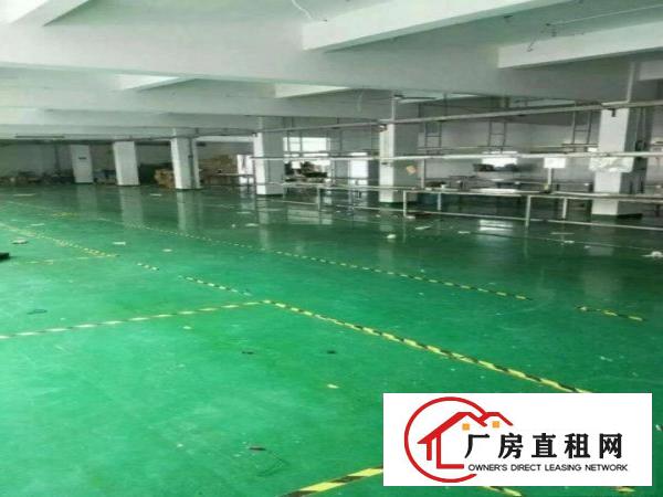 
深圳平湖高速出口6600独院厂房出租可分租