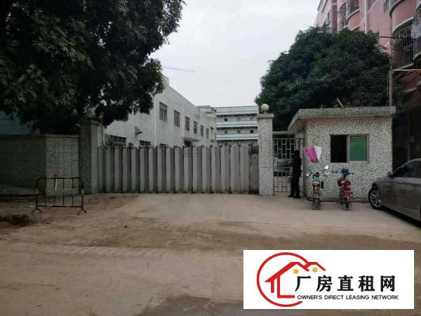 
平湖辅城坳楼上带装修1000平出租