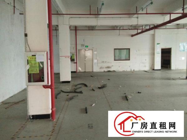 
已搬空！龙岗区平湖清平高速富安出口辅城坳工业区厂房