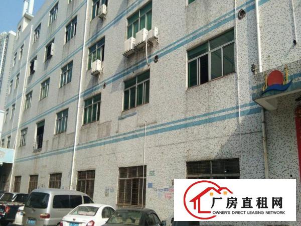 
龙岗区平湖辅城坳工业区旁7米高钢构厂房出租带吊顶