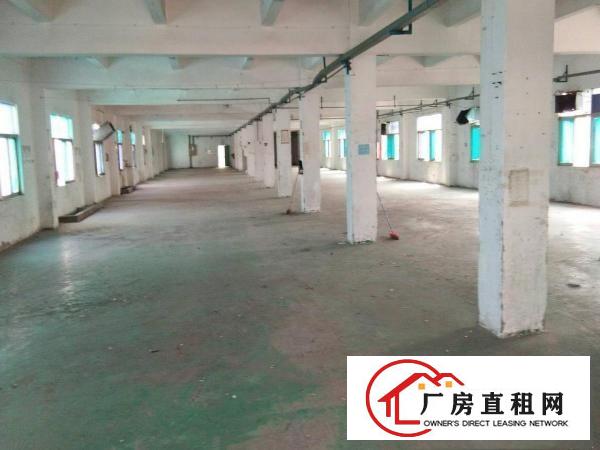 
独门独院！平湖辅城坳工业区清平高速出口独院厂房出租