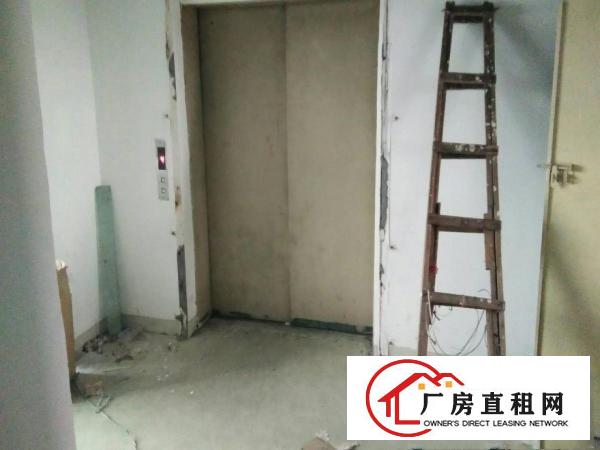
原房东！龙岗区平湖华南城旁带装修标准厂房出租