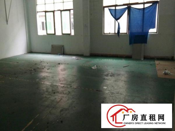 
原房东！龙岗区平湖华南城旁带装修标准厂房出租
