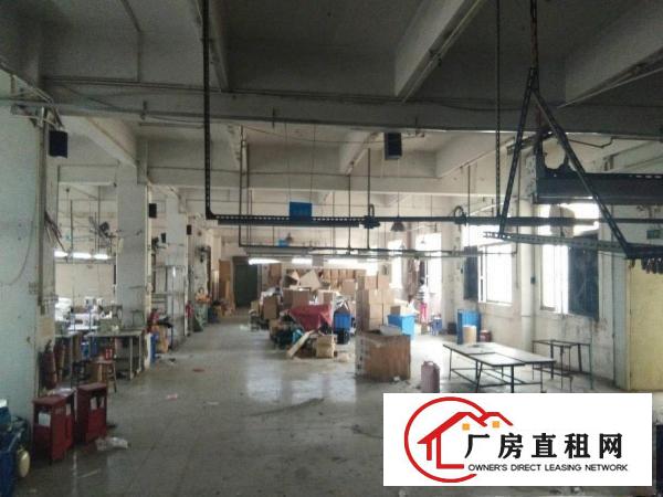 
原房东平湖富民工业区新出楼上带装修800平方厂房