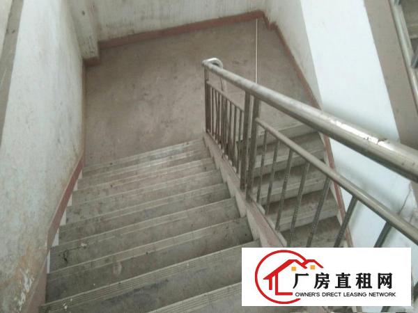 
原房东平湖富民工业区新出楼上带装修800平方厂房