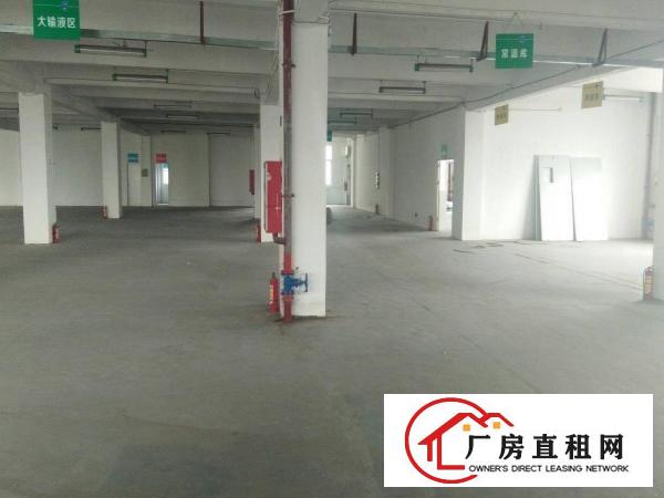 
原房东平湖鹅公岭二楼标准厂房2000平方出租