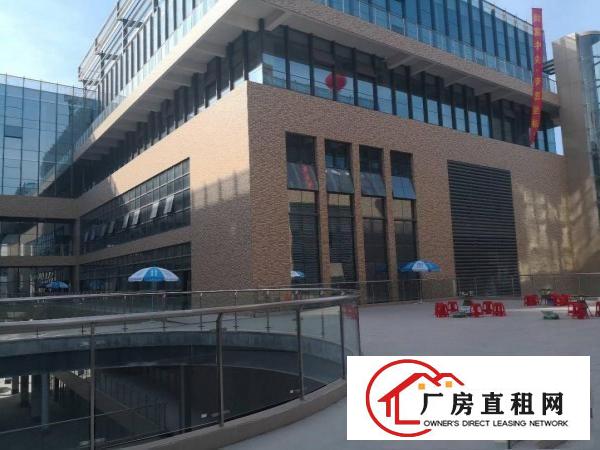 
平湖主干道边上新出来商业楼房招租