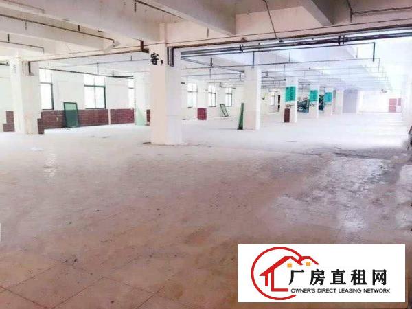 
平湖主干道边上新出来商业楼房招租