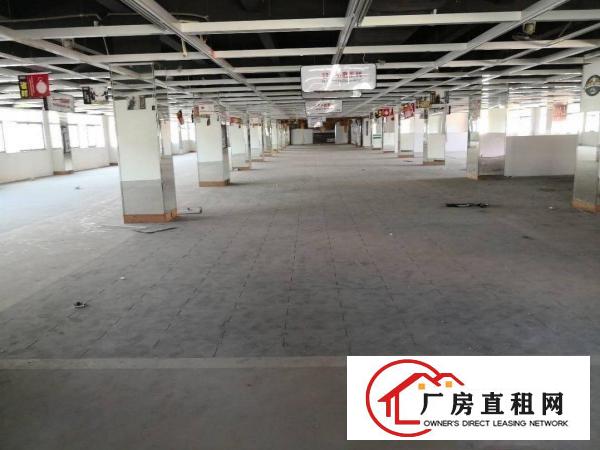 
平湖大街边独门独院分租3400平方，急急租
