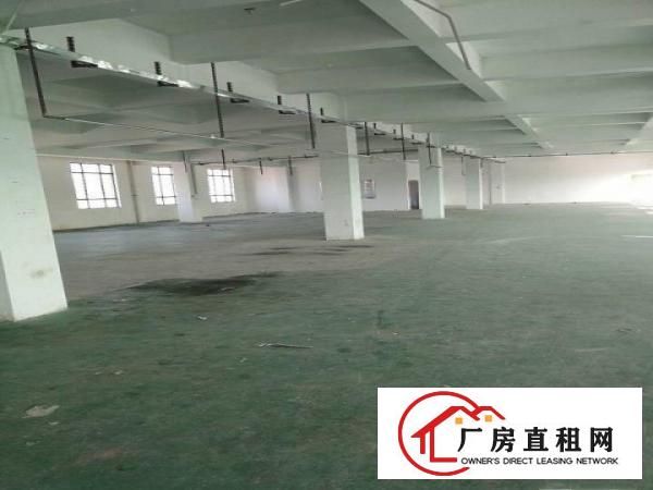 
原业主辅城坳工业区做印刷独院5200平方厂房急租