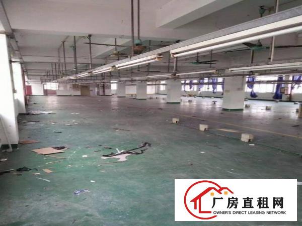 
原业主辅城坳工业区做印刷独院5200平方厂房急租