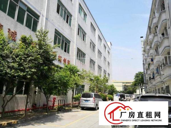 
平湖富民工业区一楼2000平米厂房原房东出租急急急
