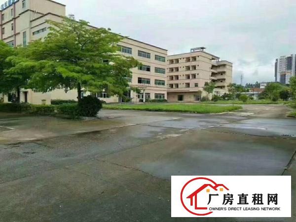 
平湖华南城附近电商产业园5000平电商办公仓库急租