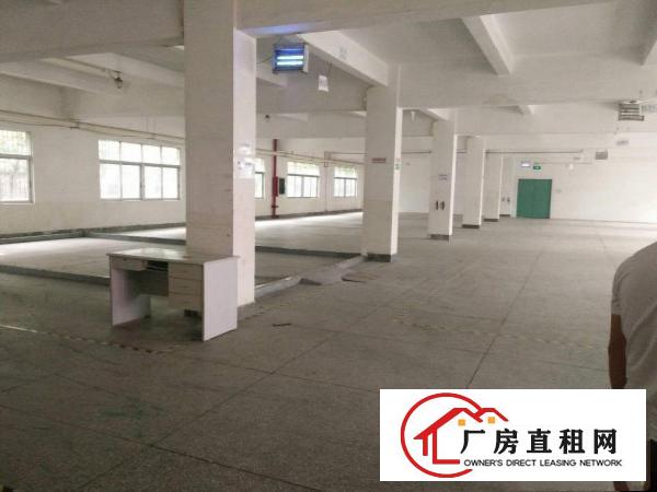 
平湖清平高速出口辅城坳工业区独院厂房3600平急租