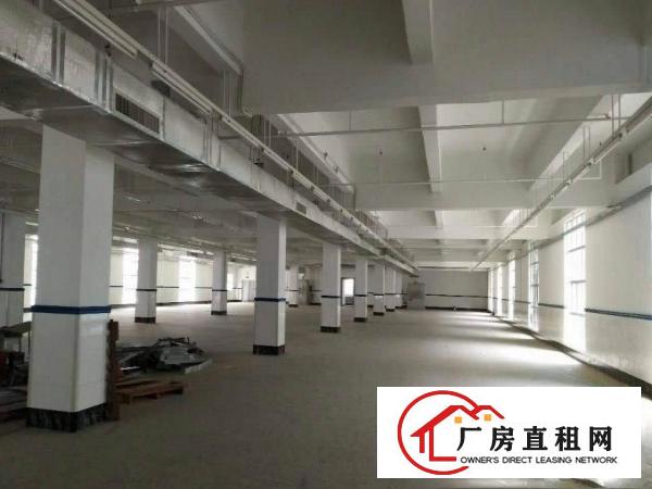 
平湖富民工业区二楼750平方带装修厂房急租
