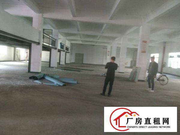 
平湖良安田工业区一二三楼厂房1200平方大小分租