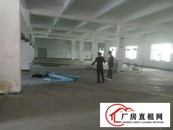 
平湖山厦大望工业区一楼厂房1200平方急租
