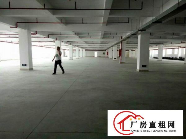 
平湖辅城坳工业区一二楼5000平米厂房仓库出租急急