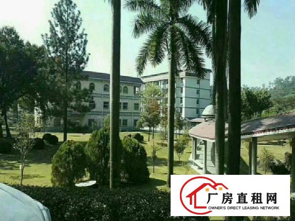 
平湖原房东厂房一楼2000平米出租急急急可分租