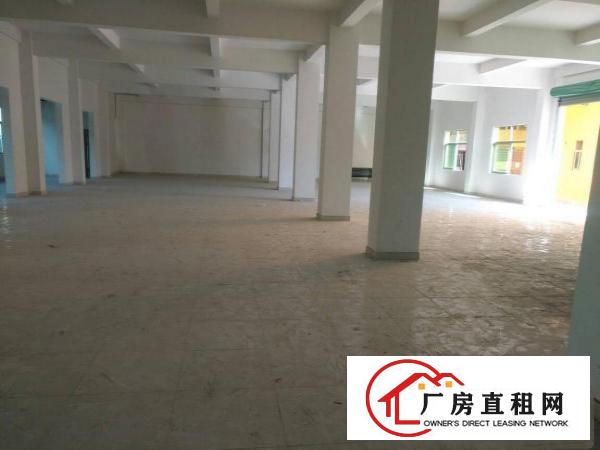 
平湖华南城小独院2500平米出租急急急